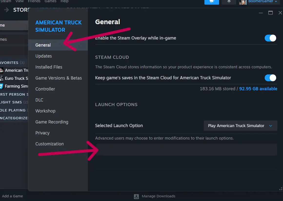 Steam Launch Options General tab Launch Options